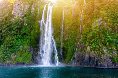 View of waterfall in forest