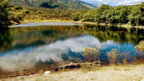 Scenic view of lake by trees against mountain