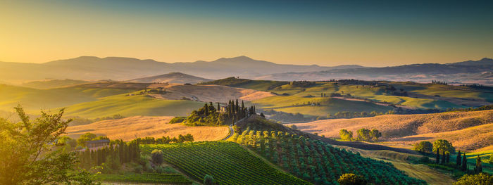 Scenic view of field against clear sky during sunset