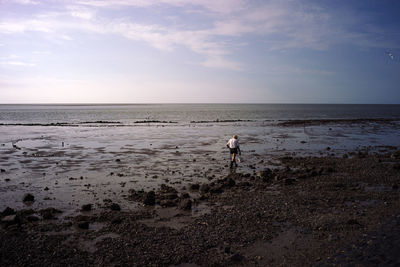 Crab searcher