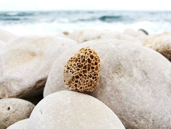 Close-up of rock on beach