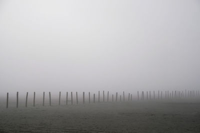 Wooden posts on beach against sky