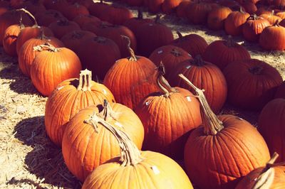 Pumpkins for sale at market stall