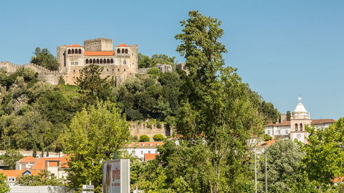 Trees in town against clear blue sky