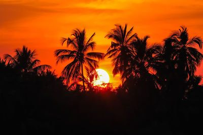 Silhouette palm trees against romantic sky at sunset