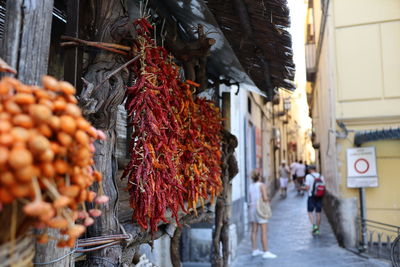 Panoramic view of market stall for sale