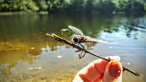 Cropped image of hand holding water