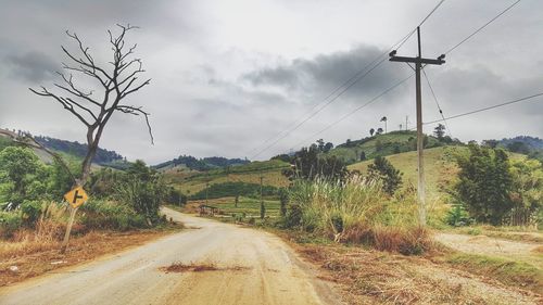 Road by trees against sky