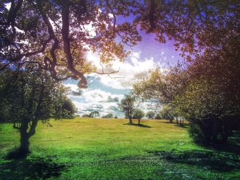 Scenic view of landscape against sky