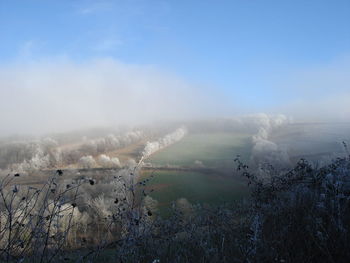 Scenic view of landscape