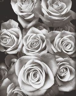 Close-up of rose bouquet