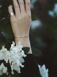 Close-up of woman hand holding flowering plant
