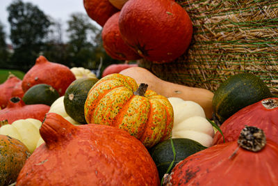 Close-up of pumpkins for sale at market stall