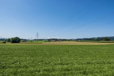 Scenic view of field against clear sky