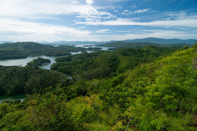 environment