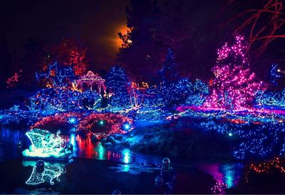 Illuminated christmas tree against sky at night