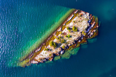 High angle view of crab on beach