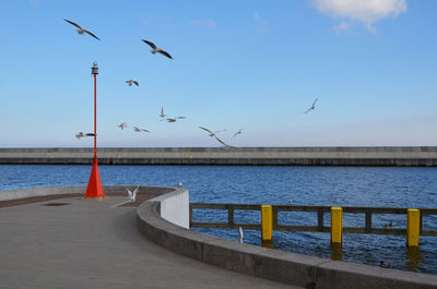 Seagulls flying over sea against sky