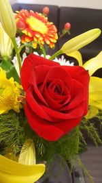 Close-up of red rose bouquet