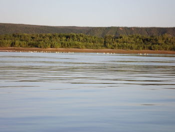 Scenic view of lake against clear sky