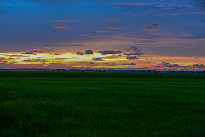 Scenic view of agricultural field against sky during sunset