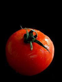 Close-up of red object over black background