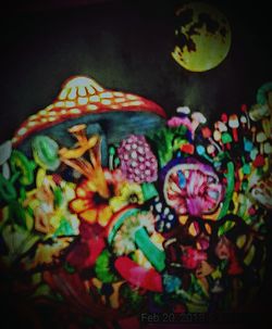 Close-up view of multi colored flowers