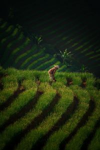 Woman working on agricultural field