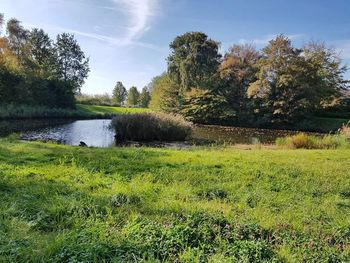 Scenic view of lake amidst trees against sky