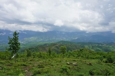 Scenic view of landscape against sky