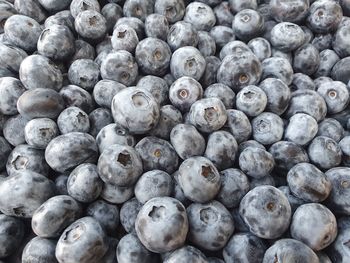 Full frame shot of blueberries