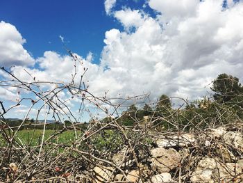 Scenic view of field against cloudy sky