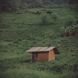 A photograph a house in the middle of a cozy tea plantation