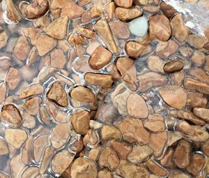 Full frame shot of stone wall