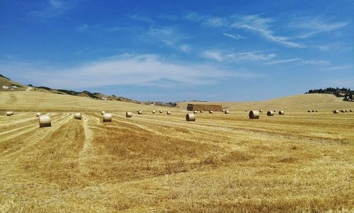 Hay bales on field against blue sky
