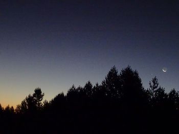 Silhouette trees against sky at night