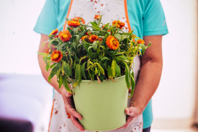 Midsection of woman holding flower pot