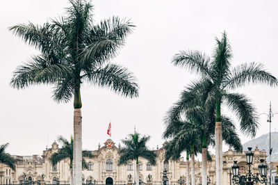 Palm trees growing by presidential palace at plaza de armas