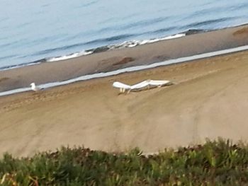 Scenic view of beach