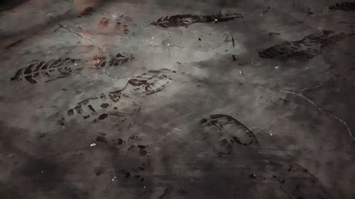 High angle view of birds on sand