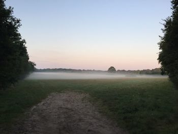 Scenic view of field against clear sky during sunset