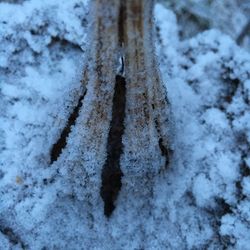 Full frame shot of snow covered land