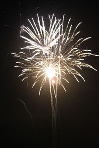 Low angle view of firework display at night