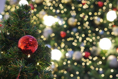 Close-up of illuminated christmas tree