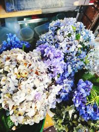 Close-up of purple flowering plant in store