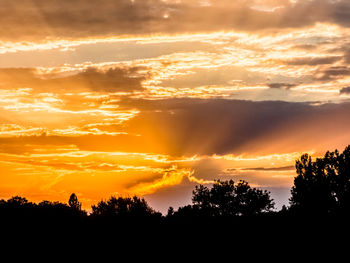 Silhouette trees against scenic sky