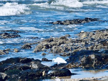 Scenic view of rocky beach