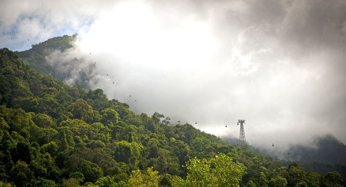 Amazing cable car lines and carriages over jungle in thick fog