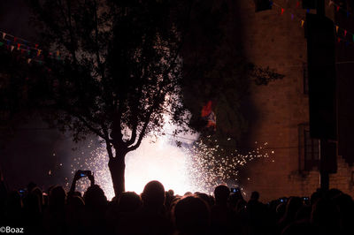 Group of silhouette people at music concert