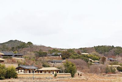 Houses and trees by buildings against sky